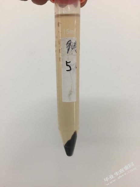 苯酚-硫酸法检测玄参多糖含量
