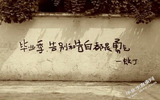 paperpass和知网查重哪个更好一些