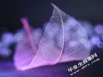 论文格式对论文检测结果的影响