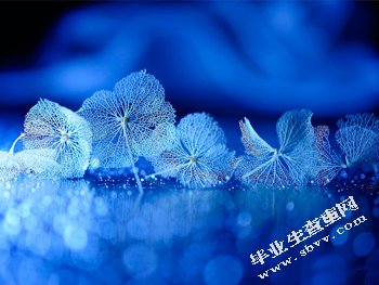  知网论文查重价格？