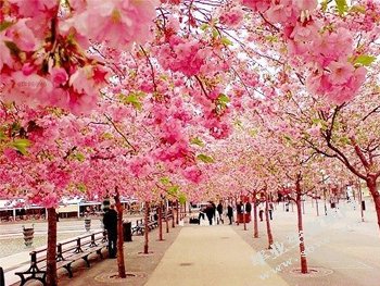 扬州大学
