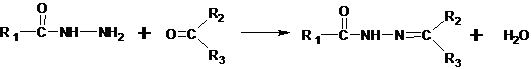 论文