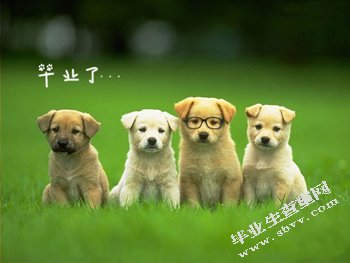 毕业生查查网