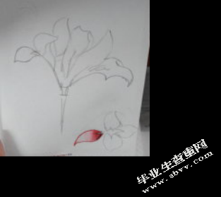 设计图片