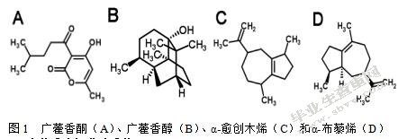 广藿香中挥发油成分及其药理作用的研究进展