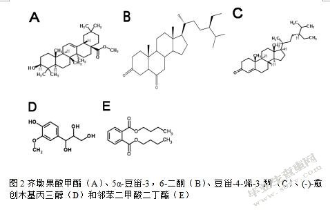 广藿香中挥发油成分及其药理作用的研究进展