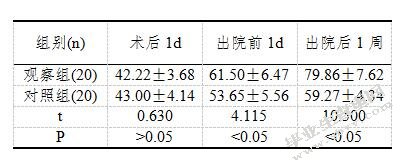 全髋关节置换术治疗股骨颈骨折的临床护理分析