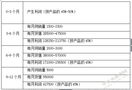 “i品牌”女鞋全球网络销售项目 融资计划书