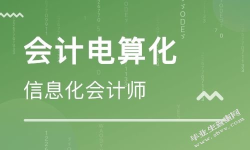 论会计电算化