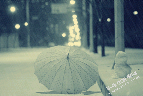 评析《雨中的猫》体现的女性主义