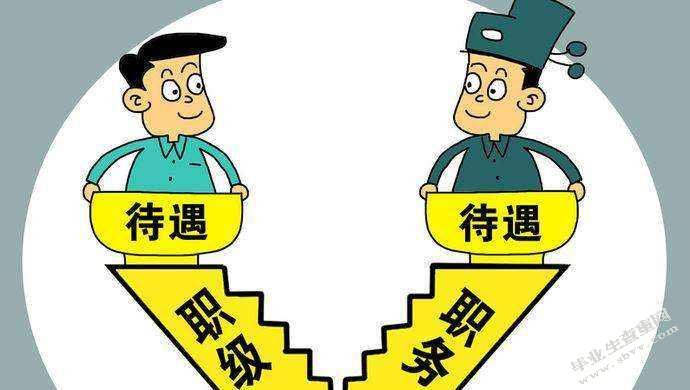 职系职级