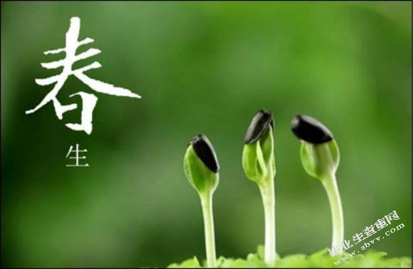 让梦在师大发芽