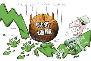 讨论会计造假的防范与治理