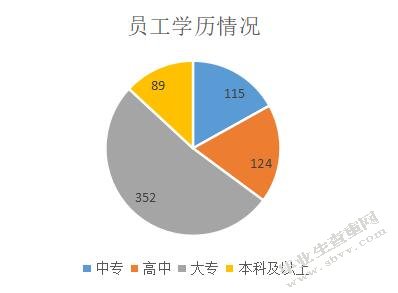 A公司员工招聘问题及对策研究