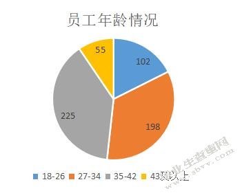 A公司员工招聘问题及对策研究