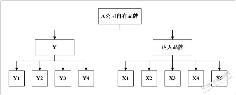 B2C电子商务企业自有品牌营销战略研究 --以A公司为例