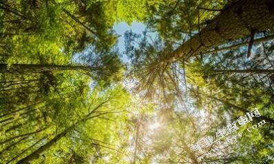 电子商务对零售企业运营管理的影响
