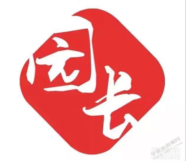 幼儿园园长培训毕业论文