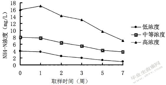 水生植物对污水净化效果的比较分析