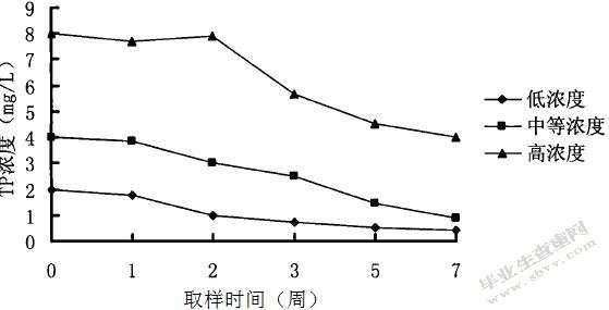 水生植物对污水净化效果的比较分析