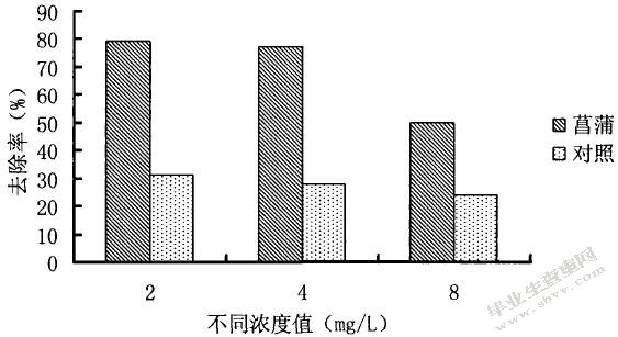 水生植物对污水净化效果的比较分析