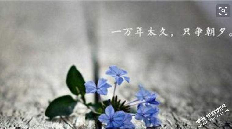 微信鸡汤文传播效果研究