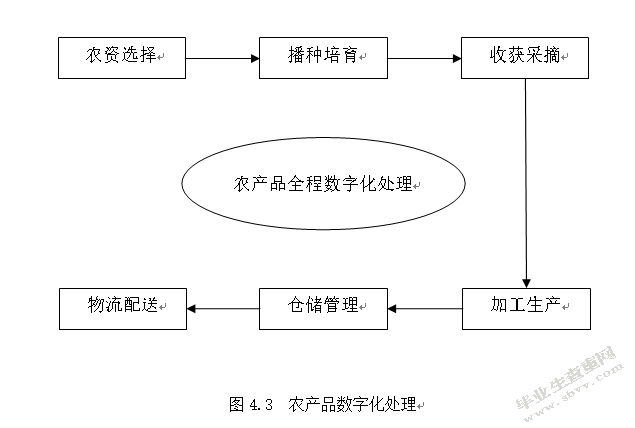 互联网+背景下农村电子商务平台建设