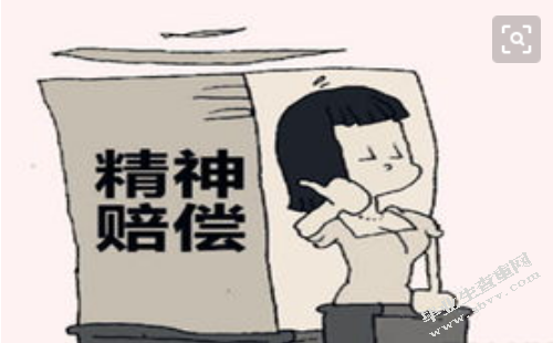 行政侵权精神损害赔偿问题初探