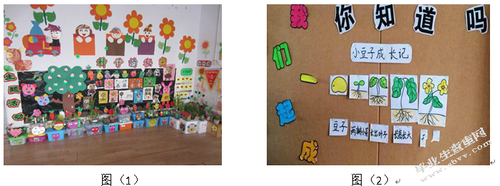 生态学视域下幼儿园环境创设有效性研究