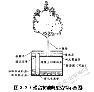 市政雨水生物滞留处理装置