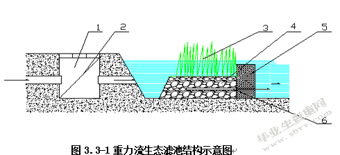 市政雨水生物滞留处理装置