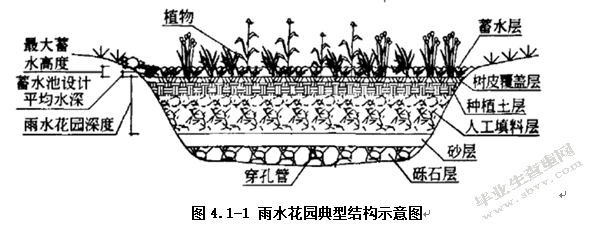 市政雨水生物滞留处理装置