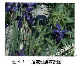 市政雨水生物滞留处理装置