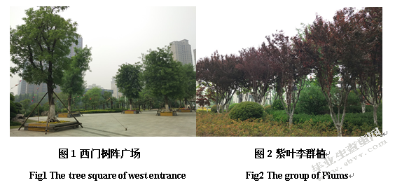 徐州市金龙湖公园园林植物种类及应用调查研究