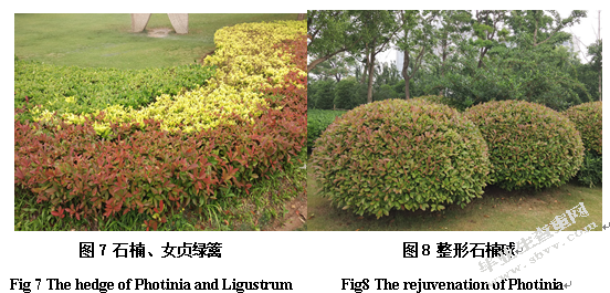 徐州市金龙湖公园园林植物种类及应用调查研究