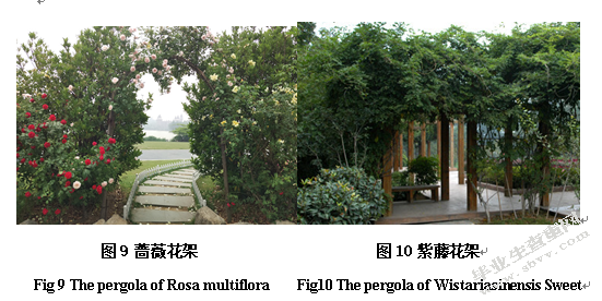 徐州市金龙湖公园园林植物种类及应用调查研究