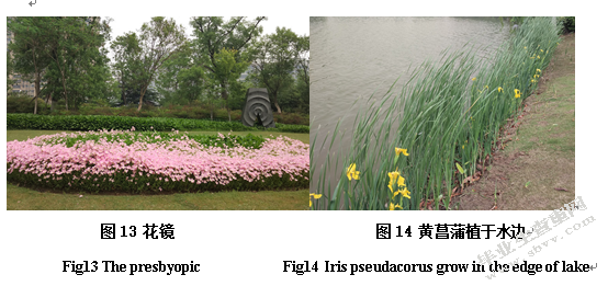徐州市金龙湖公园园林植物种类及应用调查研究