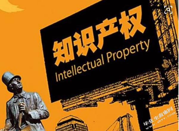 对我国国际贸易中知识产权执法保护的若干思考