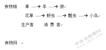 实验调演食物链和食物网