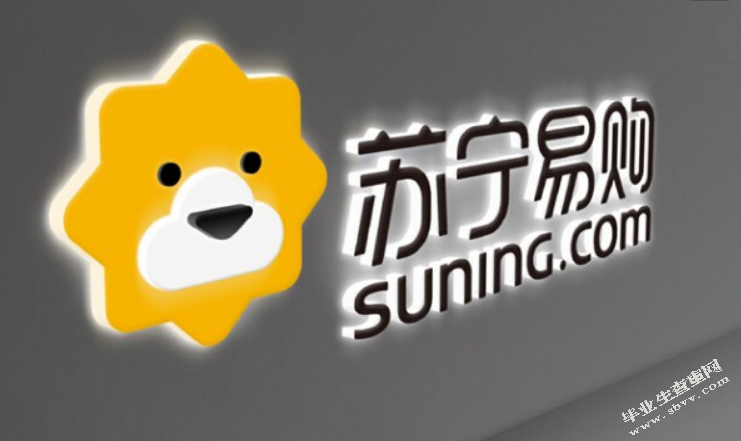 苏宁易购汕头分公司分销模式的研究