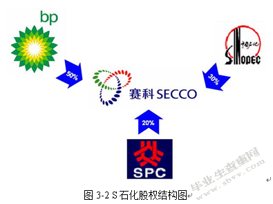S石化丁二烯业务竞争战略研究