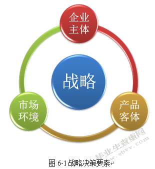 S石化丁二烯业务竞争战略研究