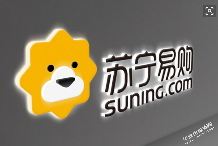 苏宁易购配送模式存在的问题及对策研究