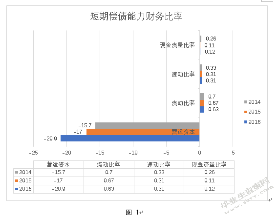 中百集团财务报表分析