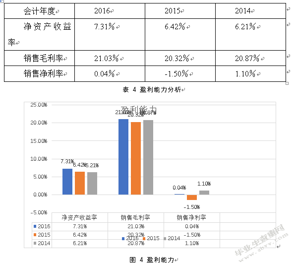 中百集团财务报表分析