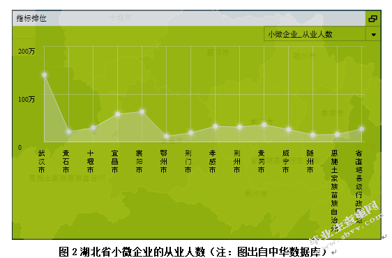 湖北省小微企业财务管理现状及对策分析