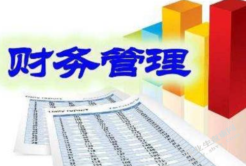 中小高新技术企业财务管理题研究