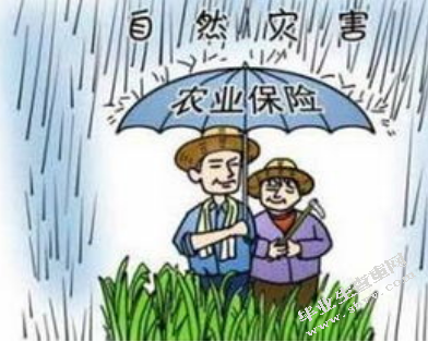 黑龙江省农业保险的探析