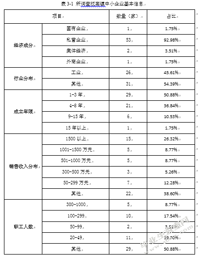电子商务与视高镇中小企业信息化模式探究