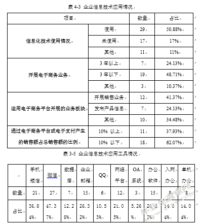 电子商务与视高镇中小企业信息化模式探究